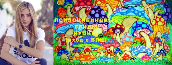 прущие крисы Абинск