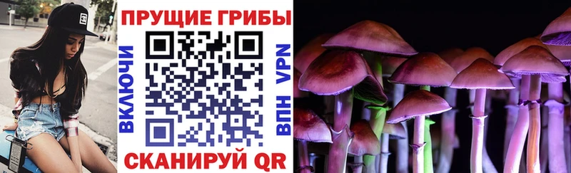 Галлюциногенные грибы Magic Shrooms  ОМГ ОМГ ТОР  Ковдор 
